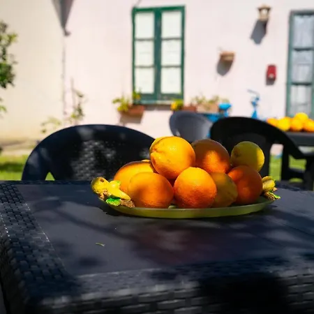 Bauernhof Il Madrigale - Agnone Cilento
